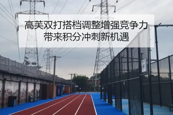 高芙双打搭档调整增强竞争力 带来积分冲刺新机遇